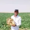 Moataz Kamel