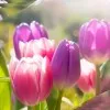 Malathi
