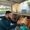 Nithin Nicchu