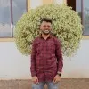 Vikas Deokar