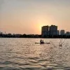 Hoa Dao
