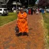 Lisa Tendai Chitekedza