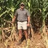 Dewald Pieterse