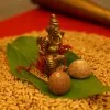 Vaishali Vasava