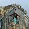 Shameem Habib