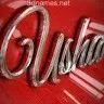 Usha Anigol