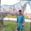 Arslan Javed Shani ch