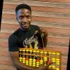 Bolaji Majekodunmi