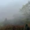 Kaiqi