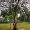 Zoya Ahmad