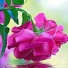 Swathi swathika