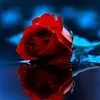 Butool Ahmedi