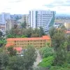 Yohannis Tarekegn