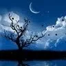 naresh