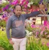 Ali Hossain