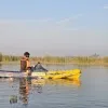Rishabh Sharma