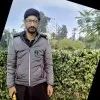 Hamza Shabbir Awan