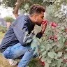 PRABHAT KUMAR