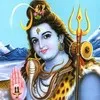 mohit singh