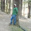 Rahul Pakhare