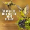 Guilherme Ferreira Martins