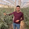 Adam DEHBI