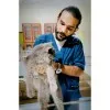 Ali Haider