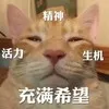 Bruce Zeng