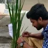 Nandhan