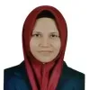 Nur Anis