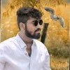 Vineeth Kumar