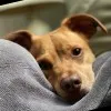 John Bailey