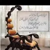 mohamed