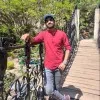 Harsh Singh