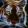 SURAJ CHAUBEY