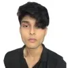 Arnab Das
