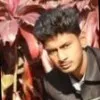 Mehedi Hasan Monir