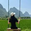 Ying Nie