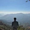 Aman Vashist