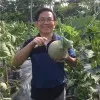 Alex Fong