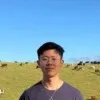 Brandon Widjaja