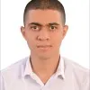Hamed Badawy
