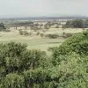 Winnie Jebet