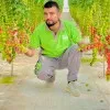 Zafar Ali