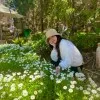 Trucy Thanh