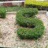 Subham Kumar