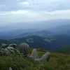 Ketov Sandul Oleksiy