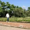 Siddharth Maurya