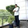 Amit Patra