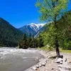 Fayaz Jadoon